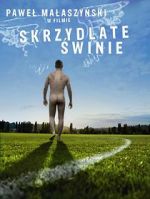 Watch Flying Pigs Solarmovie