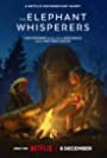 Watch The Elephant Whisperers Solarmovie