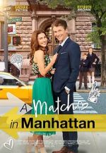 Watch A Match in Manhattan Solarmovie