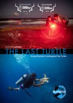Watch The Last Turtle (Short 2019) Solarmovie