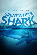 Watch Secrets of the Great White Shark Solarmovie