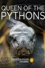 Watch Queen of the Pythons Solarmovie