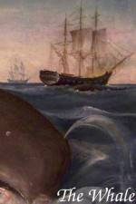 Watch The Whale Solarmovie