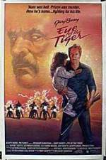 Watch Eye of the Tiger Solarmovie