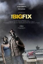 Watch The Big Fix Solarmovie