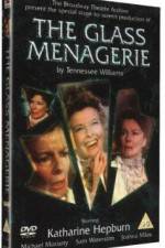 Watch The Glass Menagerie Solarmovie