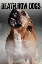 Watch Death Row Dogs Solarmovie