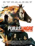 Watch Purasangre Solarmovie
