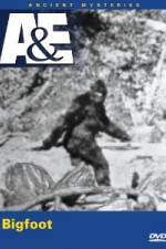Watch A&E Ancient Mysteries - Bigfoot Solarmovie