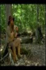 Watch The Goblin and the Woodsman Solarmovie