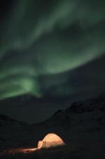 Watch The Last Igloo Solarmovie