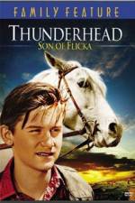 Watch Thunderhead - Son of Flicka Solarmovie