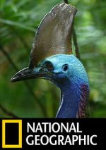 Watch Dino Bird Solarmovie