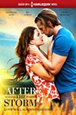 Watch After the Storm Solarmovie
