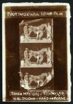 Watch Horse Shoeing Solarmovie