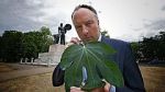 Watch Fig Leaf: The Biggest Cover-Up in History Solarmovie