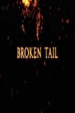 Watch A Tiger Called Broken Tail Solarmovie
