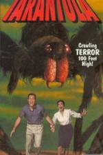 Watch Tarantula Solarmovie
