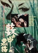 Watch Black Cat Solarmovie