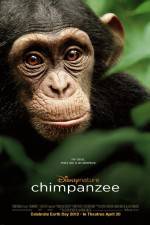 Watch Chimpanzee Solarmovie
