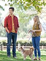 Watch Hometown Hero Solarmovie
