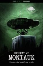 Watch Incident at Montauk Solarmovie