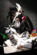 Watch Ornithology Solarmovie