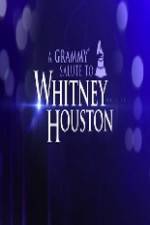 Watch We Will Always Love You A Grammy Salute to Whitney Houston Solarmovie