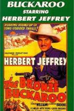 Watch The Bronze Buckaroo Solarmovie