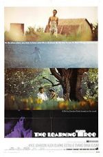 Watch The Learning Tree Solarmovie