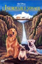 Watch Homeward Bound: The Incredible Journey Solarmovie