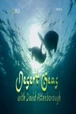Watch National Geographic Desert Seas Solarmovie