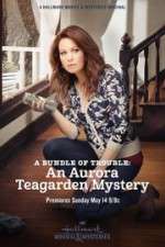Watch A Bundle of Trouble: An Aurora Teagarden Mystery Solarmovie