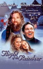 Watch The Christmas Secret Solarmovie
