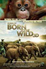 Watch Born to Be Wild Solarmovie