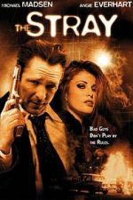 Watch The Stray Solarmovie