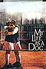Watch My Life As A Dog Solarmovie