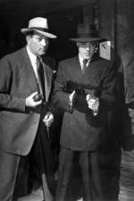 Watch No Orchids for Miss Blandish Solarmovie
