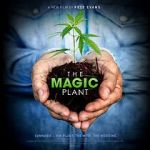 Watch The Magic Plant Solarmovie