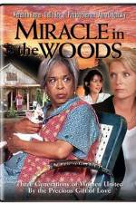 Watch Miracle in the Woods Solarmovie