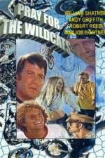 Watch Pray for the Wildcats Solarmovie