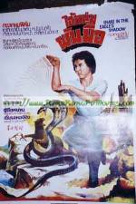 Watch Snake in the Eagle's Shadow II Solarmovie