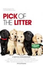 Watch Pick of the Litter Solarmovie