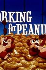 Watch Working For Peanuts Solarmovie