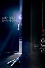 Watch Hide and Never Seek Solarmovie