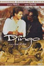 Watch Dingo Solarmovie