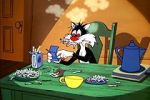 Watch The Last Hungry Cat Solarmovie