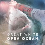 Watch Great White Open Ocean Solarmovie