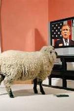 Watch Educating The Sheeple Solarmovie