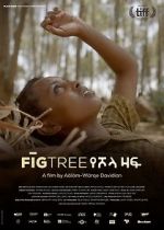 Watch Fig Tree Solarmovie